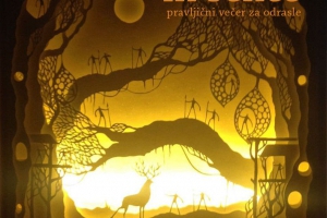 Luč in sence - pravljični večer v Kostanjevici